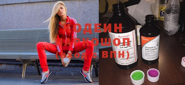 индика Беломорск
